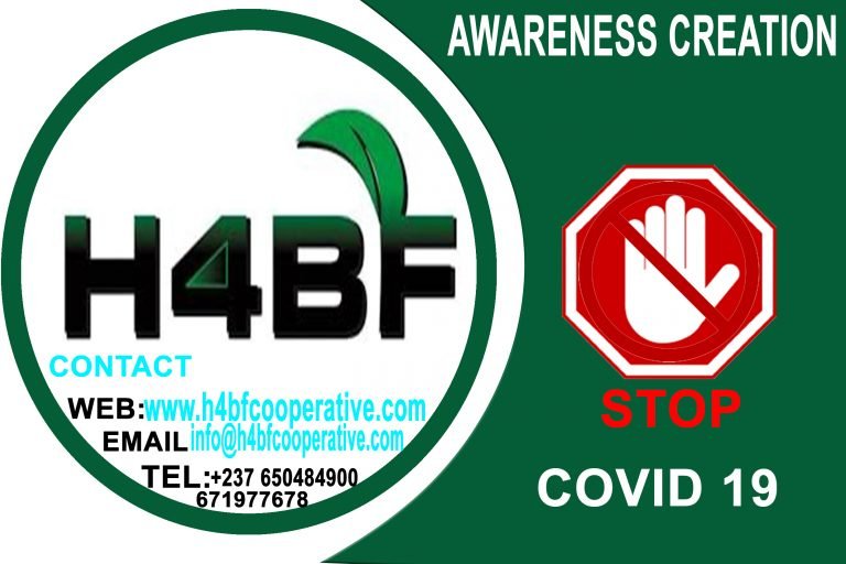 Hope For A Better Future (H4BF) Cameroon, launches her awareness campaign against COVID-19 pandemic.